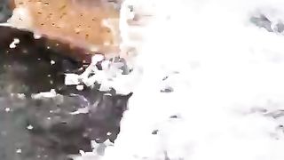 Как вам такой лосось.