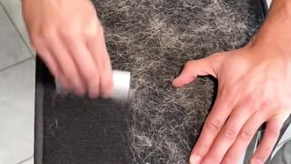 Satisfying dog hair removal!