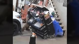 TOTAL IDIOTS AT WORK 2024 I Fail Compilation #4