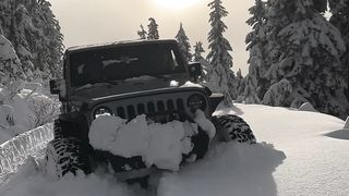 Winter & Autos