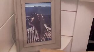 A girl moved into my dogs house! #dog #goldenretriever @EllieGoldenLife