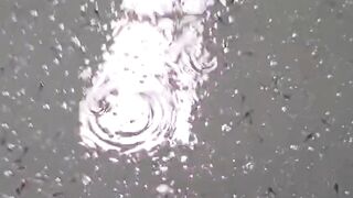 Lakukan 5 hal ini agar air kolam ikan lele kalian tidak cepat BAU