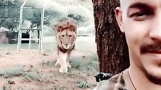 Funny Win