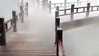 Funny Win
