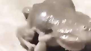 Funny Win