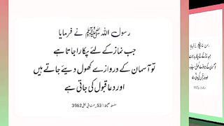 اسلامی معلومات Like share follow