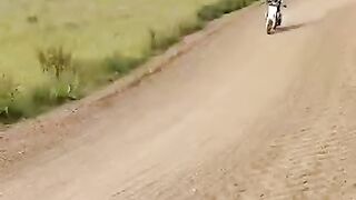 Motocross toddler - riding a husky mini 50cc at 3 years old!