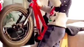 Manual machine x All I want for Christmas (is my bike)????❤️