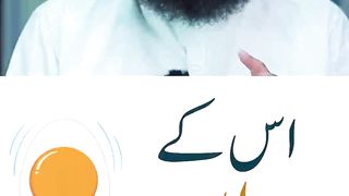 انڈہ کا فوائد