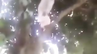 Pir ho TU is