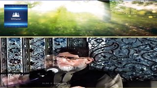 Shajra Mustafa