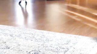 Funny videos