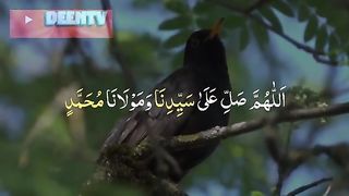 Darood e Taj - درودِ تاج - Darood Sharif - Beautiful voice with Full HD Backgrounds ❤️️❤️️❤️️.