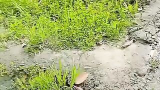 Beautiful Clicks of Simple Village Life