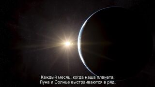 Гравитация нашей планеты.