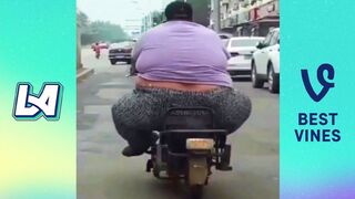Try Not To Laugh Funny Videos - The Most Unexpected Moments Of Animal