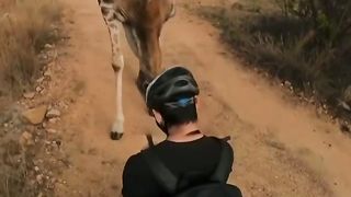 Уважайте их и они ответят вам взаимностью.