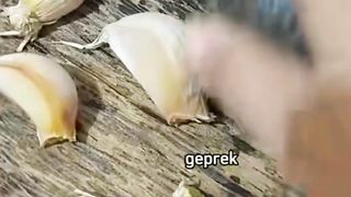 Ayam goreng bawang putib