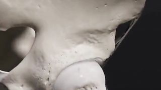 Потрясающая демонстрация движения тазобедренных суставов. Video Anatomy Standard