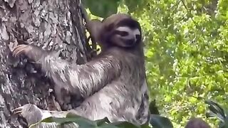 Mother slots gets her baby back