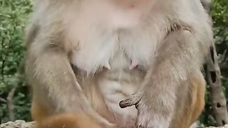 eating together
