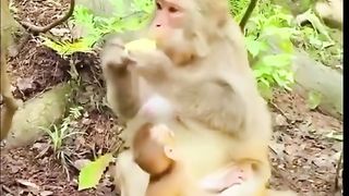 give me a little food, mother