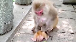 what to do with his child