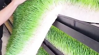 Amazing videos vol 352