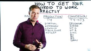 How to Get Your Thyroid to Work Correctly