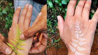 Plants that can give tattoos