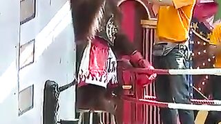 Funny video