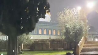 Holy land
