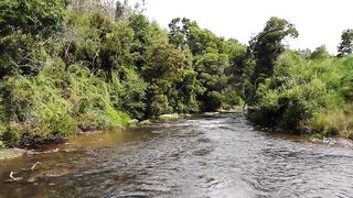 River Nature