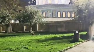 Holy land