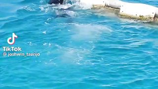 Helping marine live