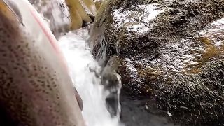 Fish and blue berrys