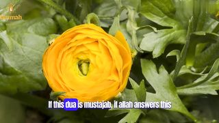 This Beautiful Dua Will Help You Get Jobs And Money