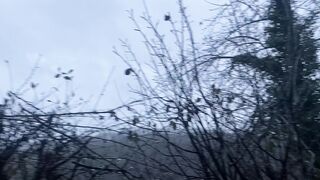"Whispers in the Night Sky: A Cinematic Reverie of Nature's Nocturnal Beauty ???????? #NatureCinematics #VisualEpic"