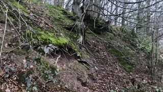 "Lunar Lullaby: A Cinematic Journey Through Nature's Nocturnal Poetry ???????? #NatureCinematics #VisualHarmony"