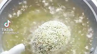 40 Min _That Little Puff_ Tiktok Compilation.