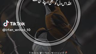 Hazrat Ali quotes in Urdu