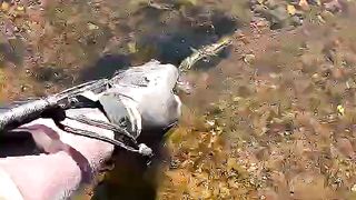 I Found a Phone Underwater in the River!