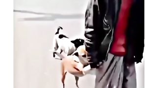 Galat admi se panga le liya aij???? funny trending video's