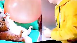 Cat_Funny_Moment_????_#shorts(360p).