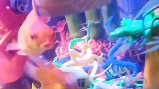Fish beautiful