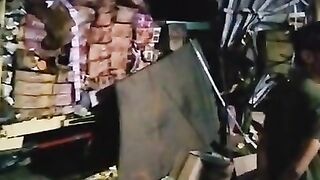 Mobil Truck Tabrak Pohon
