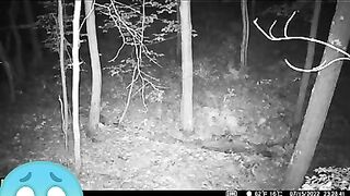 ?OMG, A GHOST?