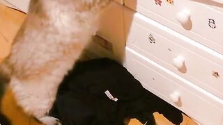 fixing my human's clothes