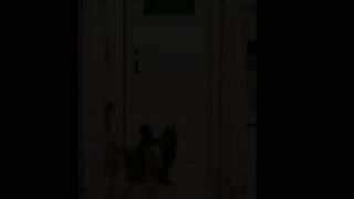 Ninja cat part 2