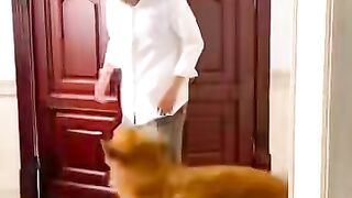 ‎Bean_love_dad lovely dog????????
